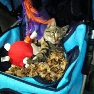 Meet your Posher, Crystal